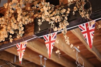 Dried Fresh Hops