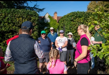 Chiltern Valley037