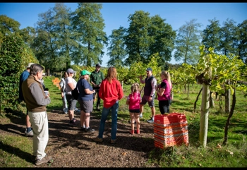 Chiltern Valley041
