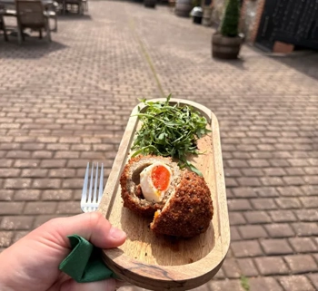 Scotch Egg Image